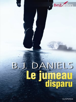cover image of Le jumeau disparu